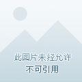 洪荒世界道免费阅读