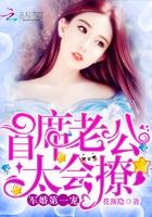 军婚第一宠首席大人太会撩