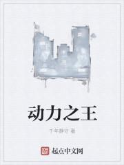 动力之王在线阅读